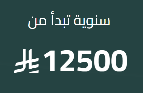 تأسيس شركات الاستثمار الأجنبي