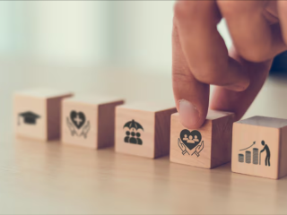 القطاع غير الربحي